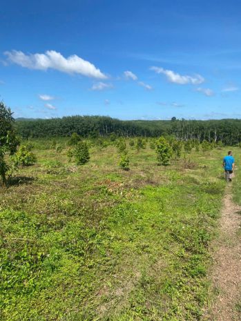 Đất đẹp  - giá đầu tư chính chủ  cần bán  lô đất  tại xã 6961566