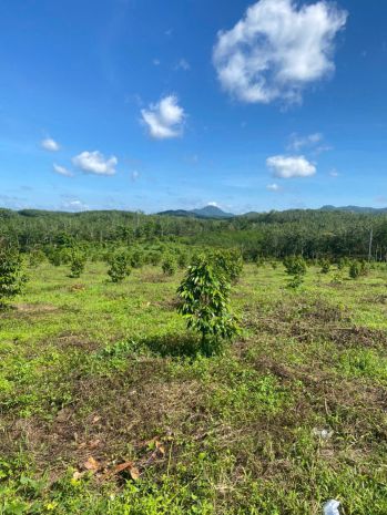 Đất đẹp  - giá đầu tư chính chủ  cần bán  lô đất  tại xã 6961567