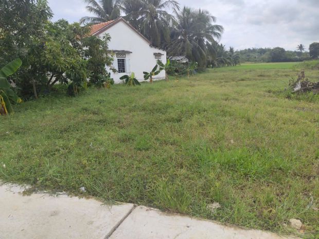 Chính chủ bán đất thị xã ninh hoà-khánh hòa 6962443