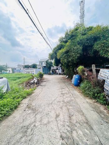 Cực hiếm  3 lô đất thổ cư liền kề giá tốt đông thạnh, hóc 6963193