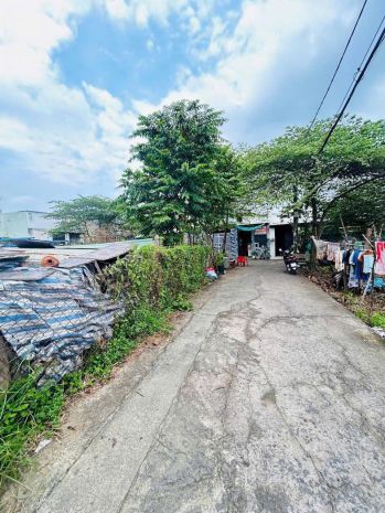 Cực hiếm  3 lô đất thổ cư liền kề giá tốt đông thạnh, hóc 6963194