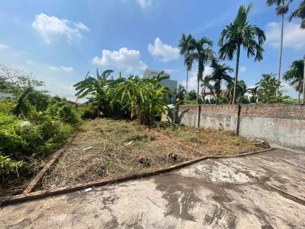 Chính chủ gửi bán 2 lô đất liền kề  vùng lõi hải phòng 6964822