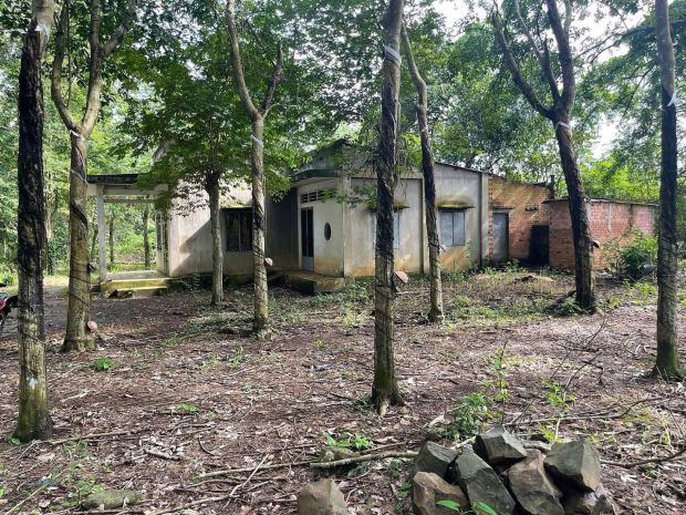 Bán đất ngay trung tâm thị xã bình long -  bình phước 6965010