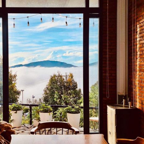 Cần bán fram bảo lâm lâm đồng 6,600m2 15 tỷ 6965688