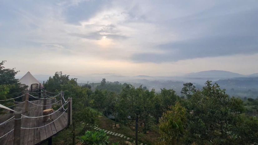 Cần bán fram bảo lâm lâm đồng 6,600m2 15 tỷ 6965693