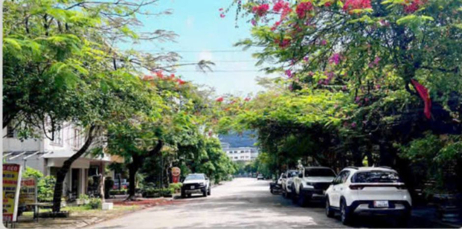 Chính chủ bán 2 lô đất liền kề tại dự án quảng hồng  cẩm 6966004