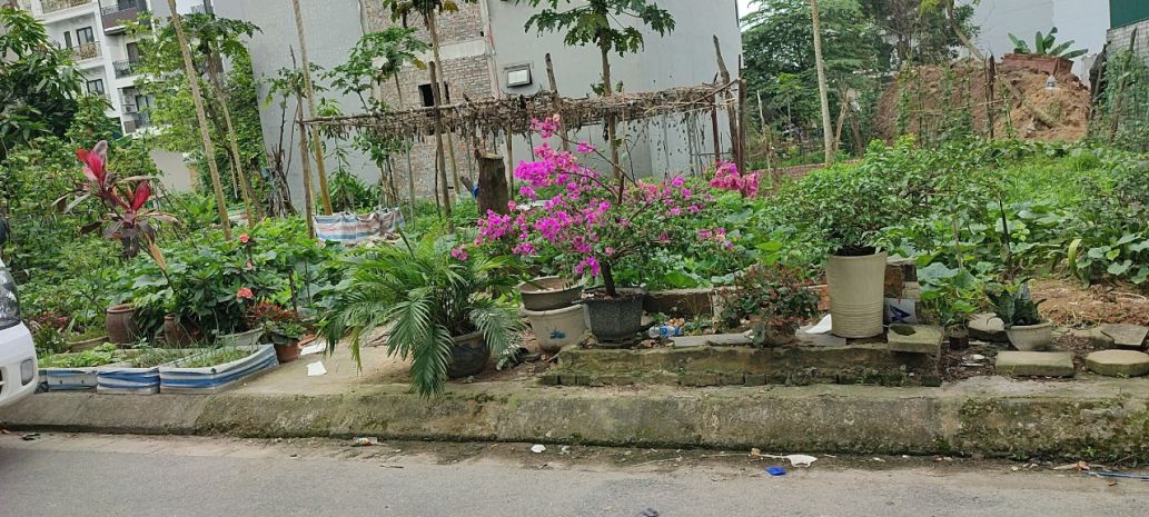 Gấp!đất mặt phố phương canh,mặt tiền rộng,ngã tư phương 6968516