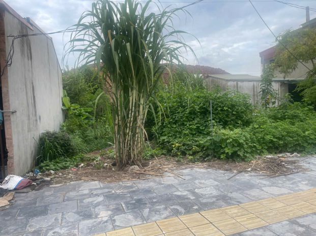 Bán lô đất vàng trục chính nghĩa trung  việt yên - bắc 6969984