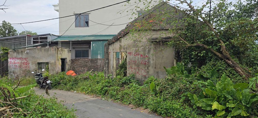 Bán đất đường phú mỹ, phường biên giang, quận hà đông nay 6973431