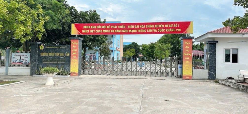 Bán đất mai lâm đông anh- hàng xóm vin cổ loa- trục lên cầu 6974266