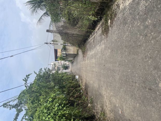 Bán đất thổ cư vườn lài, an phú đông-q.12, 420m2, sổ hồng 6974668