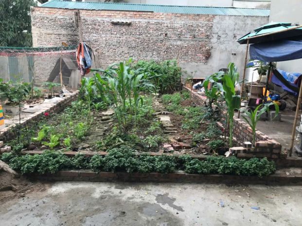 Chính chủ bán 34 m2 đất trâu quỳ, đường ô tô, giá chỉ 4.3 tỷ 6975217