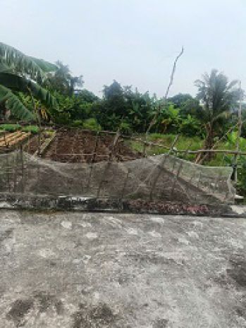 Bán nhanh lô đất tại cẩm văn - quốc tuấn, an lão, hải phòng 6975226