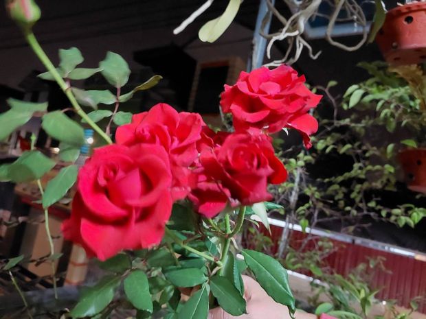 Chủ nhờ bán nhà xuân nộn 70m2, 3t, mt4.5m, 6.3 tỷ, đông 6976225