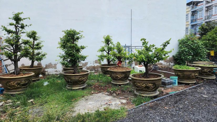 Cơ hội vàng sở hữu - đất đẹp ngay trung tâm quận 12 6977585