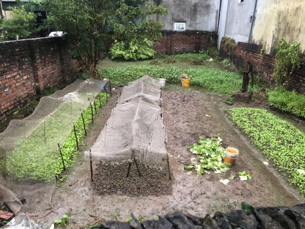 Bán đất trung tâm xã bát tràng đa tốn cũ  gần ecopark 6978354