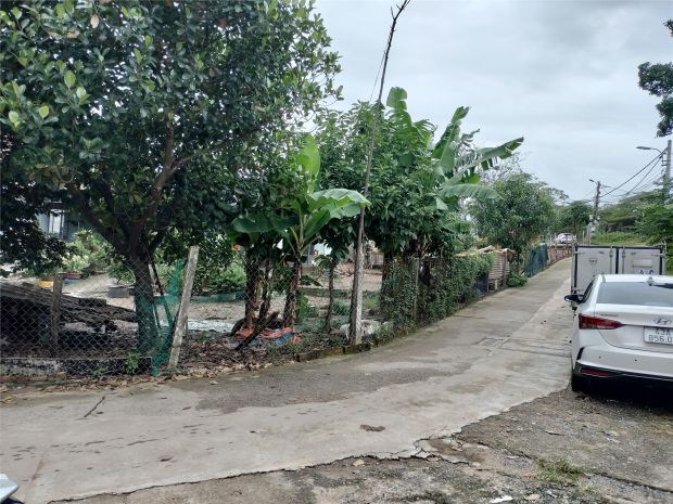 Đất đẹp hòa thọ tây  vị trí trung tâm, cao ráo  chỉ 6979032