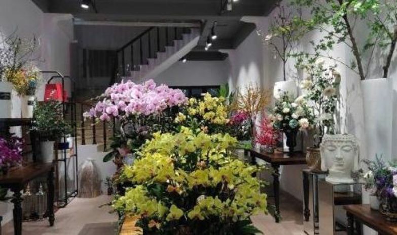 Cho thuê cửa hàng, vp, mbkd tại 101b nguyễn khuyến, đống 6986317