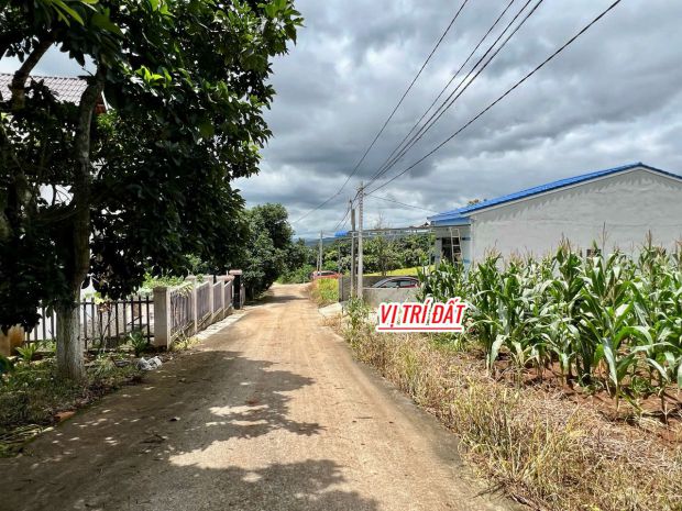 13m mặt tiền đường tại đông thanh-lâm hà dt 315m2 sẵn 263m2 6988147