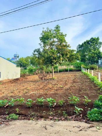 13m mặt tiền đường tại đông thanh-lâm hà dt 315m2 sẵn 263m2 6988149