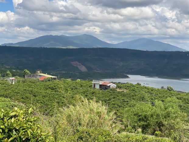 Chính chủ cần bán nhanh lô cafe view hồ thuỷ điện tại tân 6989379