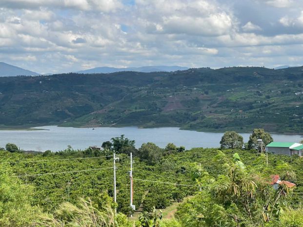 Chính chủ cần bán nhanh lô cafe view hồ thuỷ điện tại tân 6989380