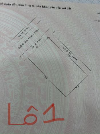 Bán đất biệt thự góc 2mt đường cầu đảo nổi khu vip - view 6990115