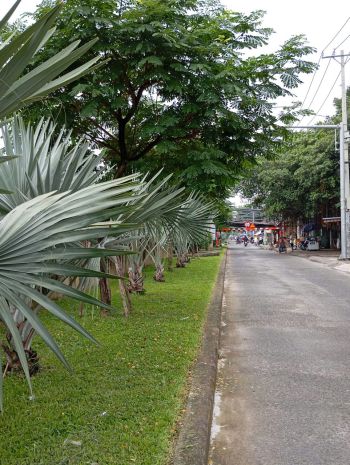 Tìm nhà đầu tư giữ tiền, 788,5m2, 38 tỷ, nhà hiếm giáp 6992317