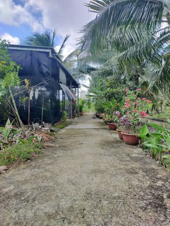 Đất nền vuông vức 285m2 tại phú tân, tp bến tre  giá rẻ 6992988