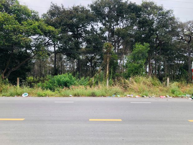 Bán 6m x 16m đất odt mặt tiền nguyễn tri phương - tân bình 6993419