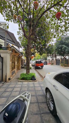 Nguyễn du tổ ấm xanh giữa lòng tổ 19 tam điệp 6995009