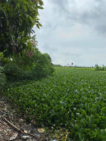 Chính chủ cần bán nhanh 02 lô đất đường đinh tiên hoàng, 6998281