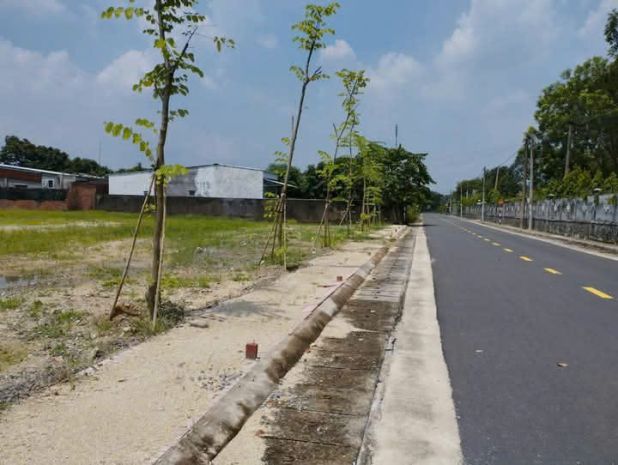 Đất nền phước hòa  phú mỹ  tâm điểm đô thị hóa 6999602