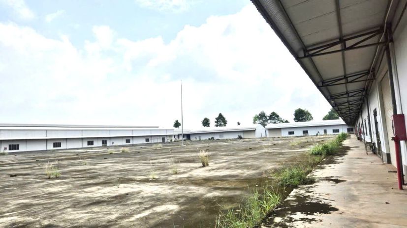 Bán xưởng 40.000m2 skc huyện trảng bom, đồng nai giá chỉ 65 7000179