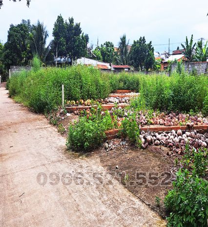 200 m² đất thổ cư ngay chợ bầu cối bảo vinh,đn, giá 4,9trm 7001044