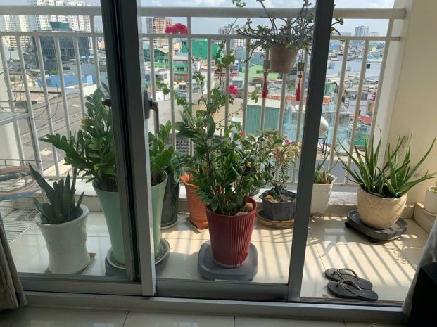 Bán căn hộ chung cư 3 phòng ngủ gần công viên đầm sen 7001328