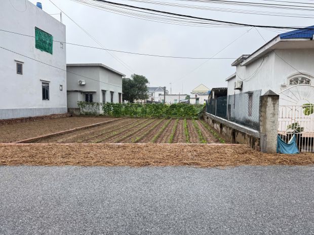 Chính chủ bán 130m2 mặt tiền 8m gần kcn vsip và gần dự án 7001407