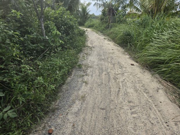 Bán đất vườn 1350m2 xã trà dương, huyện bắc trà my, quảng 7002773