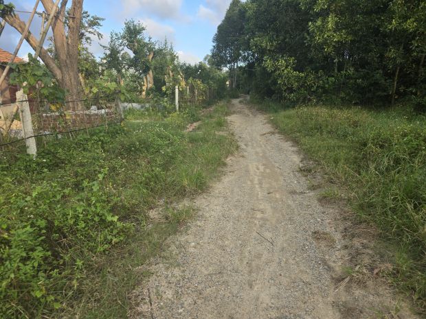 Bán đất vườn 1350m2 xã trà dương, huyện bắc trà my, quảng 7002774