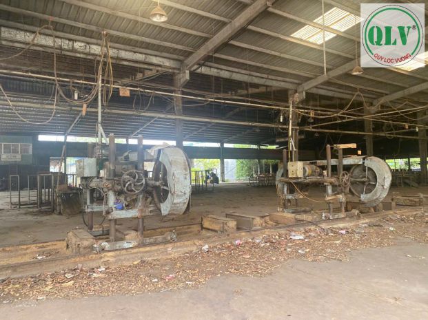 Cho thuê đất  nhà xưởng tổng diện tích 62.157 m² bến cat 7003078