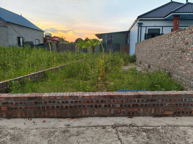 Bán đất chính chủ 100m2, mt5m, 2.5 tỷ, thanh trí, sóc sơn, 7003273