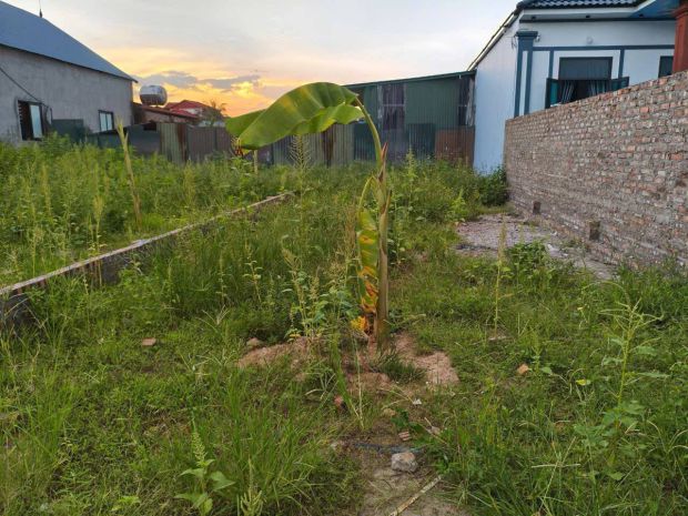 Bán đất chính chủ 100m2, mt5m, 2.5 tỷ, thanh trí, sóc sơn, 7003274