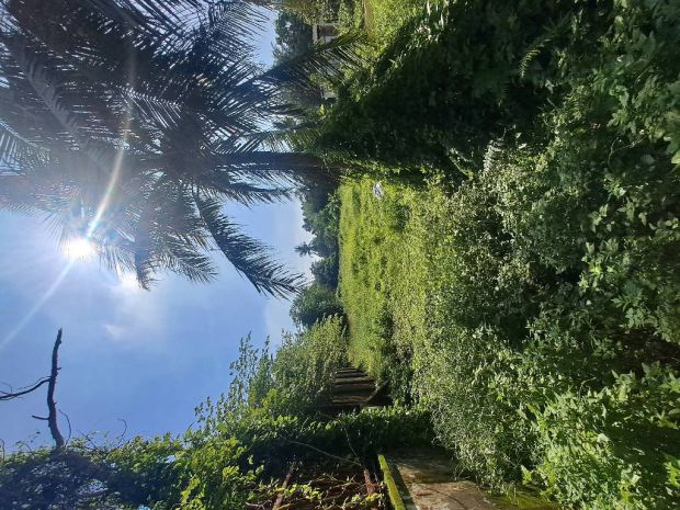 Bán đất hnk - lô góc - mặt tiền - thạnh xuân 52-  3600m2- 7003553