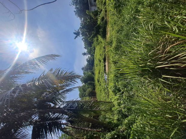 Bán đất hnk - lô góc - mặt tiền - thạnh xuân 52-  3600m2- 7003555