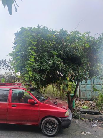 Sở hữu ngay lô đất đẹp - giá tốt - vị trí đắc địa tại khu 7004306