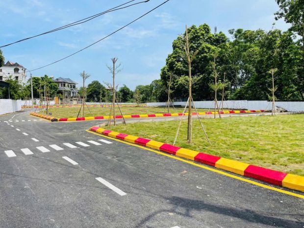 Siêu phẩm đất nền hòa thạch  phú cát  hòa lạc giá hơn hai 7005013