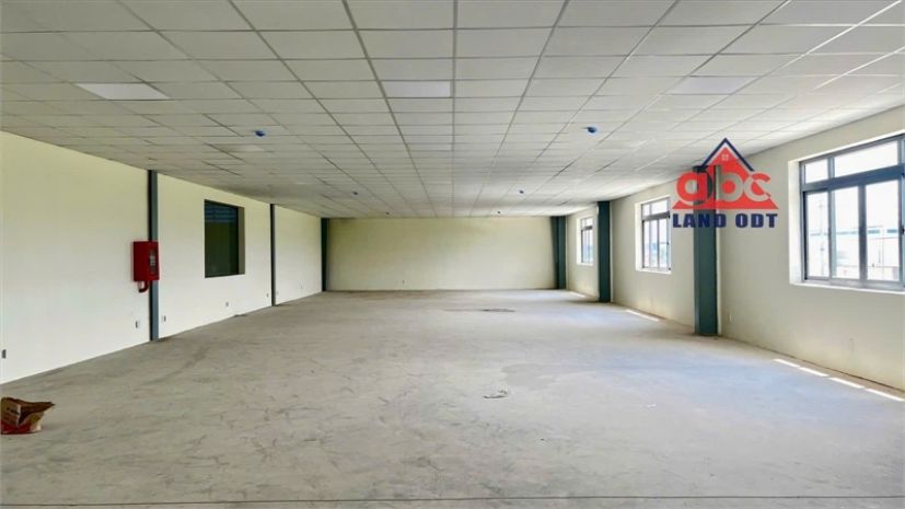 Xt519 nhà xưởng hoàn thiện mới, hạ tầng hiện đại thu hút 7005929