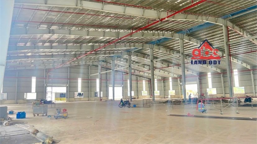 Xt519 xưởng cho thuê ổn định lâu dài, phục vụ linh hoạt 7005948