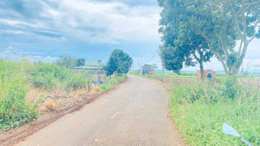 Bán 1,2 sào mặt tiền nhựa nhánh dt724, phú hội cũ, đức trọng 7006346