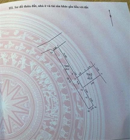 Tài chính nhú tỷ nhập khẩu thị trấn sóc sơn ô tô đỗ cửa. 7008429